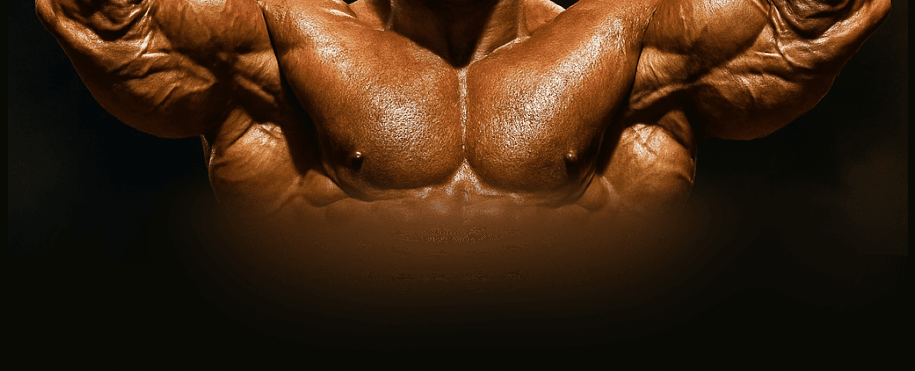 BODYBUILDING division